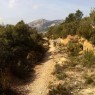 Xerta Trail