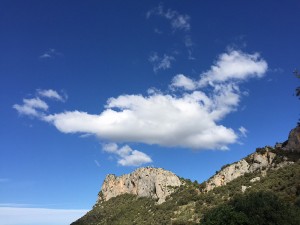 Roc del Galliner - Trescant